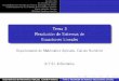 emaT 3 Resolución de Sistemas de Ecuaciones Linealesmpasadas/ftp/Tema3.pdf · Variante de Gauss-Jordan Comentarios al método de Gauss 3 Inestabilidad del Método de Gauss y Estrategia