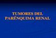 TUMORES DEL PARENQUIMA RENAL - UCM …“N DE LOS TUMORES RENALES 1-Tumores benignos -ADENOMA RENAL -Fibroma -Lipoma -Mioma -Angioma -ANGIOMIOLIPOMA -ONCOCITOMA -Hemangiopericitoma