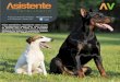 Programa nutricional completo para todos los perros ...axonveterinaria.net/web_axoncomunicacion/auxiliarveterinario/40/AV... · Consideraciones legales útiles sobre tenencia de animales
