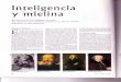 Inteligencia y mielina - Filosofía y ciudadanía 1º de … ·  · 2008-03-09Inteligencia y mielina ... memoria a corto plazo y desde allí recu- ... metidos al ensayo