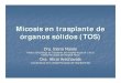 Micosis en trasplante de órganos sólidos AAMaam.org.ar/src/img_up/24072014.7.pdf · endoftalmitis, endocarditis, pielonefritis, sinusitis y lesiones cutáneas. ... Microsoft PowerPoint