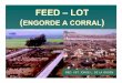 FFEEEED –D –LLOTOT - El Sitio de la Producción Bovina ...produccion-animal.com.ar/.../81-FEED-LOT.pdf · oferta para consumo interno: “subsidio“subsidio-feed lot dependiente”feed