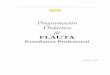 Programación Didáctica de FLAUTA - CPM Francisco …conservatoriofranciscoguerrero.es/.../pcc/programacion_flauta_eepp.pdf · Programación Didáctica Especialidad Instrumental: