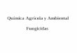 Química Agrícola y Ambiental - TINET - Tarragona ...usuaris.tinet.cat/csalomo/fungicidas2.pdf · Química Agrícola y Ambiental Fungicidas . Fungicidas Necesidades de uso Existen