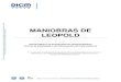 MANIOBRAS DE LEOPOLD - paginas.facmed.unam.mxpaginas.facmed.unam.mx/.../02.p.gine-andro/MANIOBRAS-DE-LEOPOLD.pdf(1993). Mecanismo de parto en presentación de vértice y trabajo de