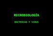 LA CÉLULA PROCARIOTA - Biologia Blog | Blog para los/as …€¦ · PPT file · Web view · 2010-03-08MICROBIOLOGÍA BACTERIAS Y VIRUS BACTERIAS REINO MONERAS (DOMINIOS ARQUEA