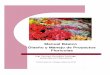 Manual Básico Diseño y Manejo de Proyectos Florícolasupax.mx/.../uploads/2013/09/MANUAL_FLORICULTURA_PESA_CHIAP… · Manual Básico Diseño y Manejo de Proyectos Florícolas Ing
