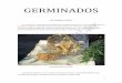 GERMINADOS - anima.org.ar · 1 GERMINADOS INTRODUCCIÓN Las semillas, componentes centrales de la alimentación viva, son muy utilizadas en las dietas veganas. Guardan sustancias