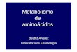 Metabolismo de aminoácidos - enzimologia.fcien.edu.uyenzimologia.fcien.edu.uy/BQII 2011/Metabolismo de los aminoácidos... · de unidades monocarbonadas al pool de folato. Síntesis
