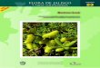 Flora de Jalisco 23 y áreas colindantesfloradejalisco.cucba.udg.mx/FJAC_23_Bataceae.pdf · Flora de Jalisco y áreas colindantes Bataceae Centro Universitario de Ciencias Biológicas