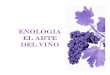 ENOLOGIA El Arte del Vino - Agroindustria, Gastronomía · generalmente en gramos de ácido tartárico por litro de líquido. ... en el vino en solución verdadera o, la mayor parte