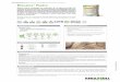 LÍNEA CONSTRUCCIÓN / Morteros Naturales …products.kerakoll.com/gestione/immagini/prodotti/Biocalce Piedra.pdf · • Natural, poroso y altamente transpirable, deja al muro libre