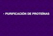 PURIFICACIÓN DE PROTEÍNAS - fcn.unp.edu.ar · Deshidratación precipitación de proteínas. Separar ... Se usa mucho en los primeros pasos de la purificación de proteínas. + sal