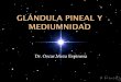 Dr. Oscar Meza Espinosa - Central Espirita Mexicana | … la Glandula Pineal con ayuda del microscopio optico, scaneo de electrones de microscopio, rayos X (1998). Gl 
