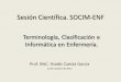 Sesión Científica. SOCIM-ENFa... ·  · 2013-12-23Enfermeros, pacientes, salud, entorno. Datos, ... Formato del Diagnóstico de Enfermería (DE) ... Terminología de Referencia