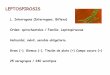 LEPTOSPIROSIS - soda.ustadistancia.edu.cosoda.ustadistancia.edu.co/enlinea/mariabelalcazar_microbiologia/LE... · colecistitis acalculosa, hipertensión, pancreatitis, etc. Ictericia