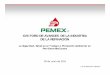 XVII FORO DE AVANCES DE LA INDUSTRIA DE LA …akbal.imp.mx/foros-ref/xvii/SMA/SMA2.pdf · Petróleos Mexicanos 30 de junio de 2011 ... (Libro Blanco) Proced. y Disciplina Operativa