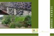 MUROS VERDES - Intercontrol _Muros Verdes-web.pdf · Partiendo de los gaviones, cestas de acoplamiento de alambre con refuerzo, galvanizados y con perfecto acabado, empezamos a pensar