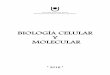 BIOLOGÍA CELULAR Y MOLECULAR - …ecaths1.s3.amazonaws.com/biologiacelularymolecular/562531767.GUIA... · estructura y ultraestructura celular, ... Las bases físicas y químicas