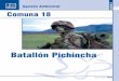Batallón Pichincha - CONSEJO AMBIENTAL DE CALI · recurso natural, pues este sector era ... En torno a la educación preescolar, ... La matrícula de niños en primaria decae entre