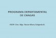 PROGRAMA DEPARTAMENTAL DE CHAGAS · PROGRAMA CHAGAS •Ministerio de salud , programa nacional , ... DEPARTAMENTOS ENDEMICOS DE BOLIVIA •Línea Base 2000 - …