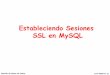 Estableciendo Sesiones SSL en MySQLlmengual/GESTION_BD/GBD_ACCESO_SSL.… · MySQL Workbench (I) Gestión de Bases de Datos LUIS MENGUAL (c) Conexión Cliente root ssl MySQL Workbench