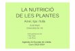 LA NUTRICIÓ DE LES PLANTES - urbanisme.paeria.caturbanisme.paeria.cat/sostenibilitat/fitxers/agenda-21-escolar-1/... · Arrel, tija i fulla ... Per quines parts les plantes realitzen