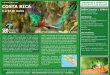 PRIMERAS 8 RESERVAS, COSTA RICA DESCUENTO … · Quetzal, pájaro campana, trogones, momotos, cotingas, más de 50 especies de colibríes entre los que destacan el 