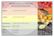 Introducción a la Fisiología Molecular de Plantas ...bios.biologia.umich.mx/optativas_2018_2018/biol_mol/rodolfo_lopez... · 5.3 Inhibición de la Pectin metil esterasa (PME) 9.-