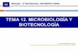 TEMA 12. MICROBIOLOGÍA Y BIOTECNOLOGÍA · 2016-05-11 · Flagelados: P Con flagelos . PAPEL DE LOS MICROORGANISMOS EN LA BIOSFERA! LOS MICROORGANISMOS Y LOS CICLOS DE LA MATERIA