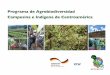 Programa de Agrobiodiversidad Campesina e Indígena de ... · Programa de Agrobiodiversidad ... El balance entre las necesidades del hombre y la capacidad de la naturaleza de 