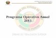 Programa Operativo Anual 2001133 - asen.gob.mx · Orden 34 34 15-Feb 31-May Ordenes realizadas/programadas ... Observaciones resultado de la fiscalización a ... elementos para la