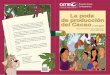 La poda de producción del Cacao - ra-training … del Cacao (by... · I56 Injertos y otras técnicas de propagación del cacao / Eduardo Somarriba Chávez….[et al.]. – 1º ed