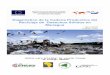 DIAGNOSTICO Cadena de valores Desechos Solidos - … · Papel y cartón ... Diagnóstico de la cadena productiva del reciclaje de los desechos sólidos en Managua 2012 