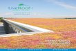 Función Natural Belleza Naturalverdeactivo.cl/.../2011/09/Folleto-LiveRoof-VerdeActivo.pdf · 2013-01-28 · Respaldado por un equipo de horticultores ... específicamente para cultivar