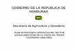 GOBIERNO DE LA REPUBLICA DE HONDURAS - Home | … · Ejes Estratégicos ESTRATEGIA DE ... Coordinacion/alineamiento de todos los recursos ... • Concertar y facilitar la oficialización
