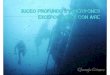 Buceo profundo e inmersiones excepcionales con airemyegoo.s3.amazonaws.com/egoo/e1149000462/myegoo_buceoprofund… · indice de contenido yobjetivos yquÉ entendemos por buceo profundo