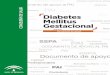 ciudadanía Diabetes Mellitus Gestacional - red.pidma.esred.pidma.es/file.php/1/Doc_Apoyo_Diabetes_Gestacionalv7.pdf · Diabetes gestacional 2. Calidad de la atención de salud 3