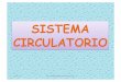 SISTEMA CIRCULATORIO aparato circulatorio consta de a.-un sistema de bombeo que corresponde al corazón, b.-una red de circulación de líquidos que corresponde a los vasos sanguíneos