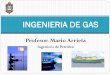 INGENIERIA DE GAS - profesormario.files.wordpress.com · riesgos en el manejo del gas natural como principal materia prima para la ... tratamiento del gas ... Se denomina gas natural