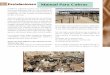 Instalaciones Manual Para Cabrasganaderiasos.com/wp-content/uploads/2016/12/manual-para... · 2017-01-13 · suficiente al ganado para su alimentación, agua, ... Manual Para Cabras