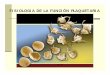 FISIOLOGIA DE LA FUNCIÓN PLAQUETARIAecaths1.s3.amazonaws.com/hematologiaclinicafacena... · 2013-10-30 · Plaquetas: - pequeñas células anucleadas (diámetro 2 m, volúmen 7-9