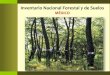 MÉXICO - cbd.int · Inventario Nacional Forestal y de Suelos . ... – Remedición anual del 20% de los sitios permanentes de muestreo para trabajar en la dinámica de cambio