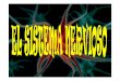 El sistema nervioso se - Trabajosciencias's Weblog · nerviosas destacan las neuronas y células gliales. El sistema nervioso regula y coordina el ... conducta que adopta el individuo