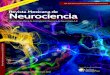 Revista Mexicana de Neurocienciarevmexneuroci.com/wp-content/uploads/2017/11/RevMexNeuroci_2017... · Re e Neurociencia oviemre-Diciemre 186 2017: 32-40 onibción oiinal Fncion cia