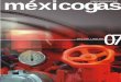 méxicogas · El vaporizador de 120 gal/hr se une a los de 40 y 80, ... Fraccionamiento Industrial Puente de Vigas. Tlalnepantla, Estado de México, C.P. 54070. P R E S E N T E