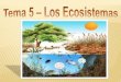 Punto 1 - "Actividades Ciencias de la Naturaleza" | "Yo no ... · Punto 1: Biosfera, Ecosistema y Ecosfera. Biosfera: Ecosistema: Ecosfera: Es el conjunto de todos los seres vivos