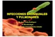 INFECCIONES BRONQUIALES Y PULMONARES - Blog de … · Hospital General Universitario de Alicante ... • cepillado bronquial ... Muestra representativa de las secreciones bronquiales