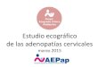 Estudio ecográfico de las adenopatías cervicales - aepap.org · Centro de Salud Plaza Segovia. ... Asociación Española de Pediatría. Sociedad de Infectología Pediátrica. Protocolos