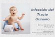Infección del Tracto Urinario - areasaludbadajoz.com€¦ · la vía urinaria Curso Urgencias Pediatria. ... Más frecuente en neonatos y lactantes, ... Causas de Urocultivo